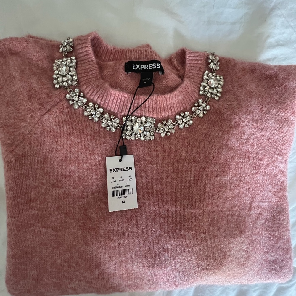 NWT - Pink Express Sweater Size Medium